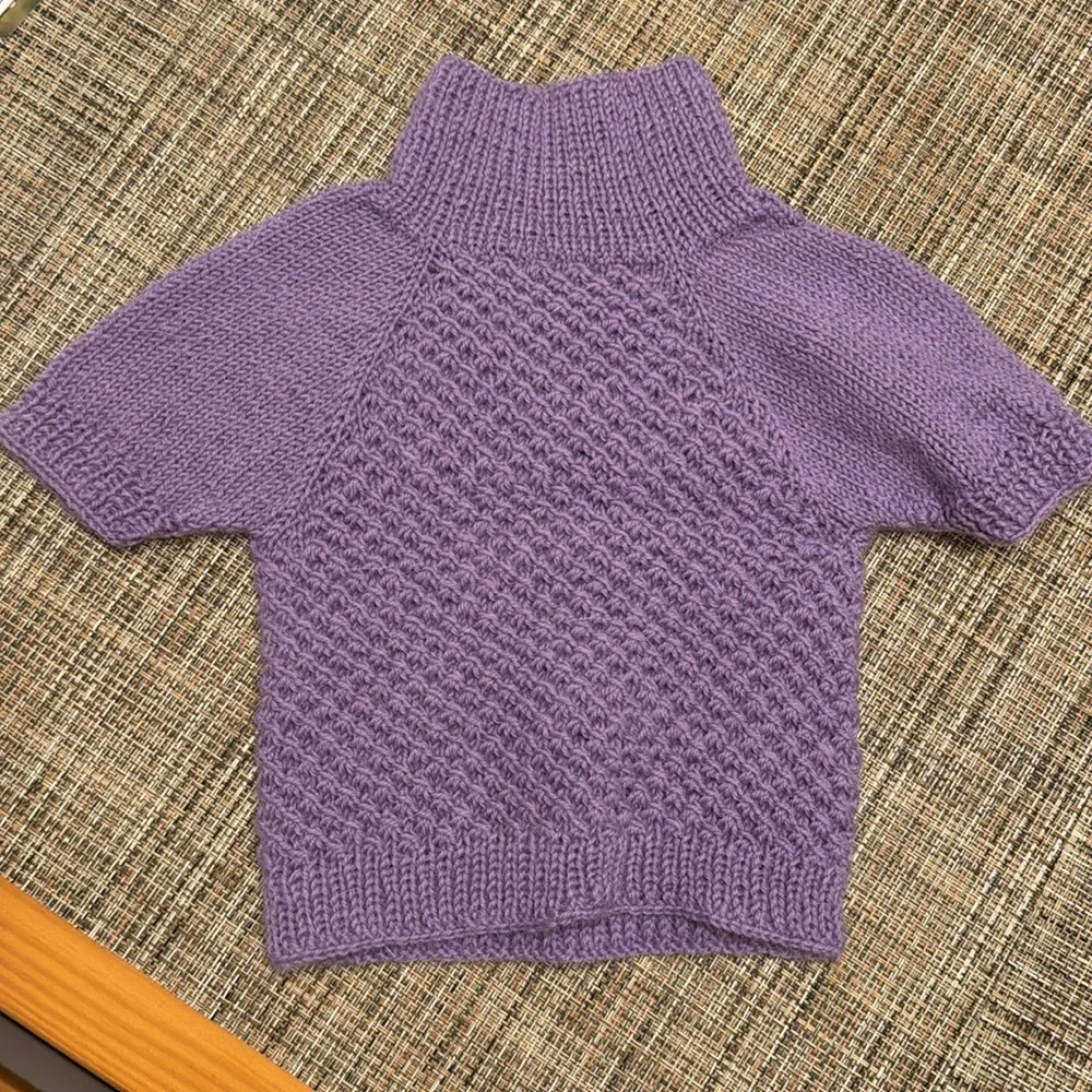 Purple Cat sweater